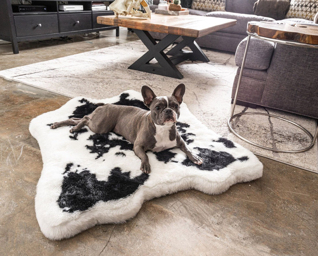 PupRug® Animal Print Memory Foam Dog Bed - Black Faux Cowhide