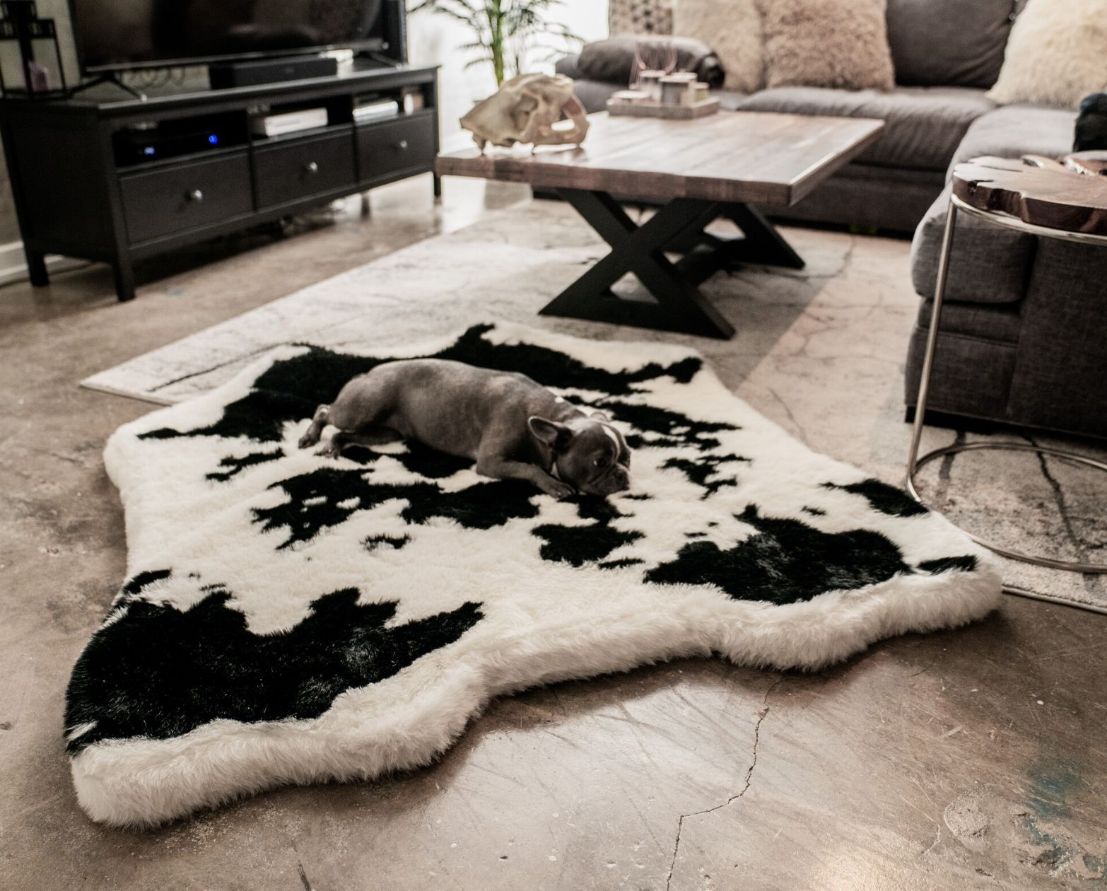 PupRug® Animal Print Memory Foam Dog Bed - Black Faux Cowhide