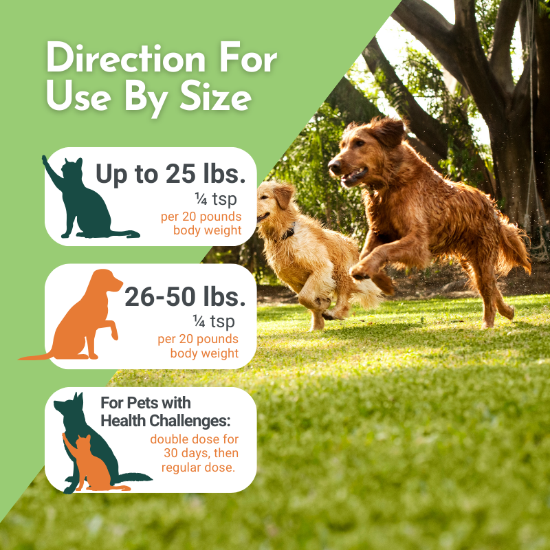 PRE-ORDER Holistic Total Body Support – Multivitamin & Glandular Support for Dogs and Cats