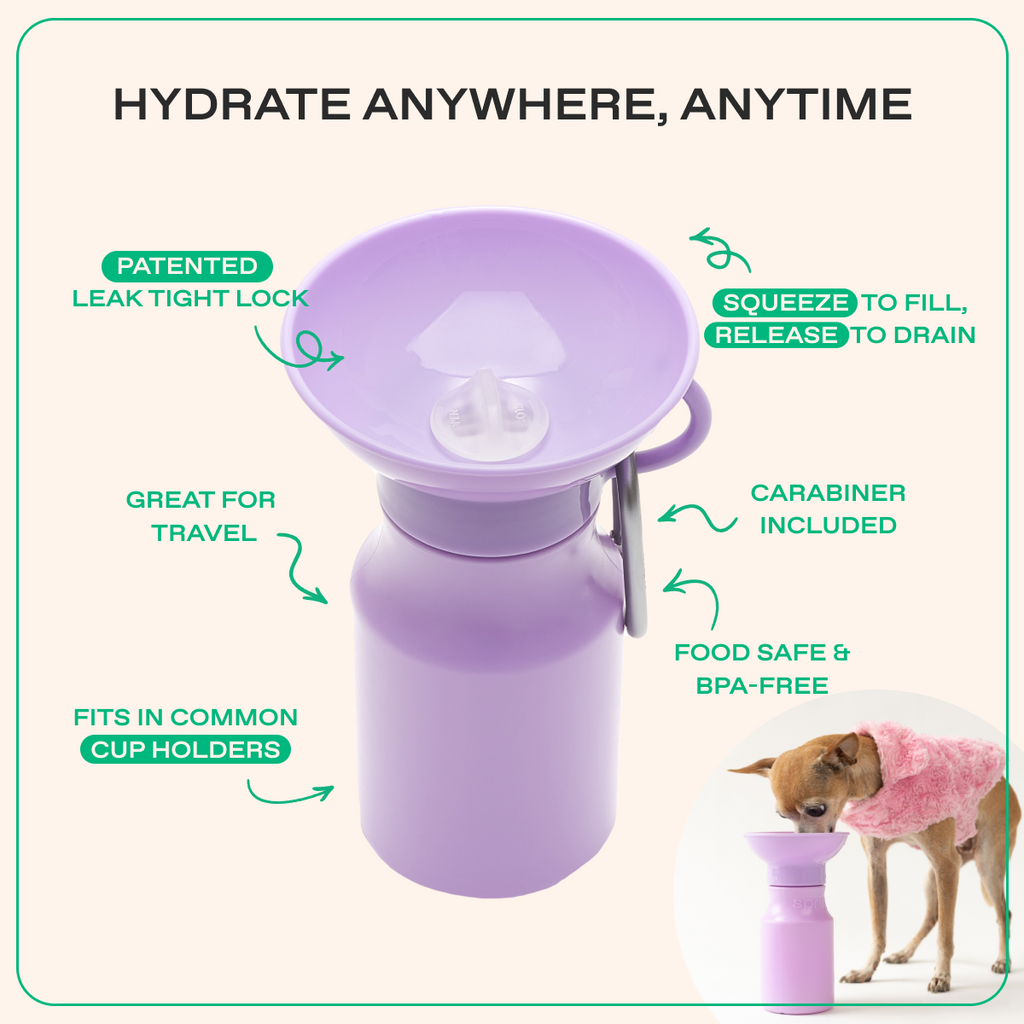 15oz Original Dog Travel Water Bottle