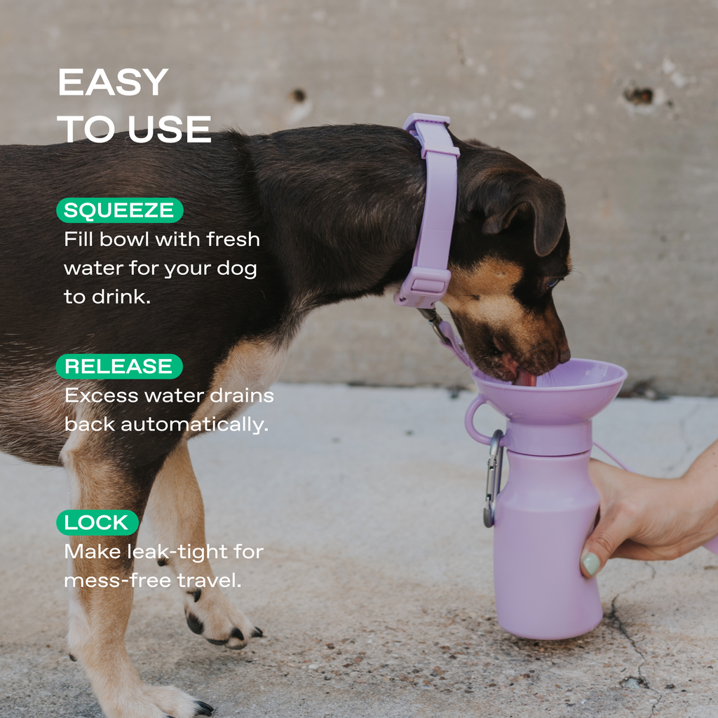 15oz Original Dog Travel Water Bottle