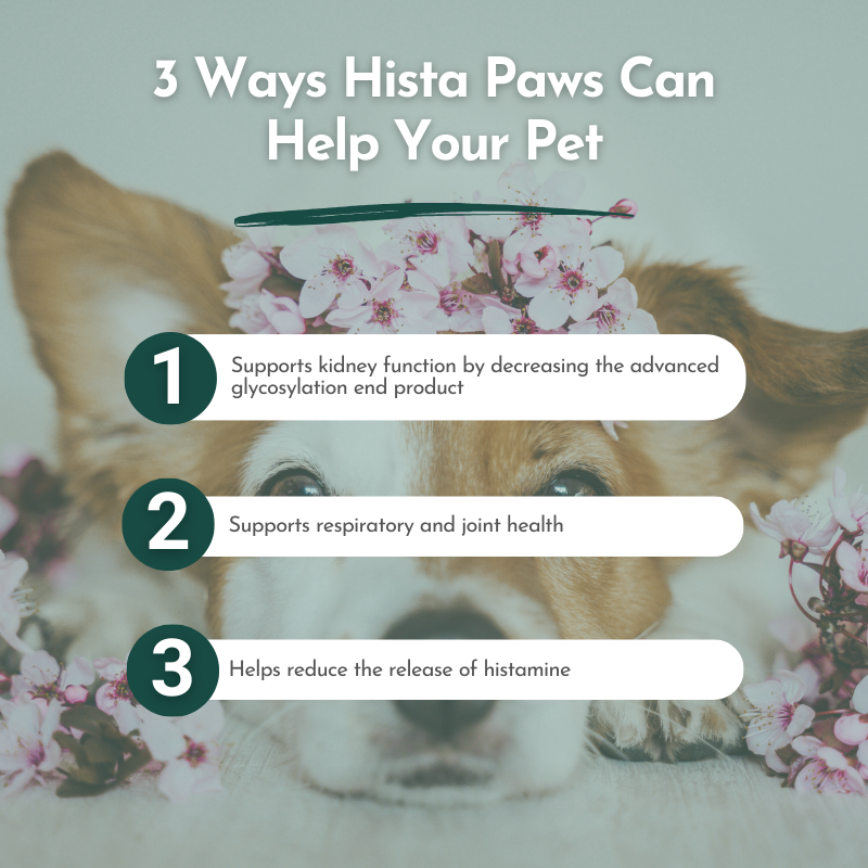 PRE-ORDER Hista Paws – with Quercetin for Dogs and Cats