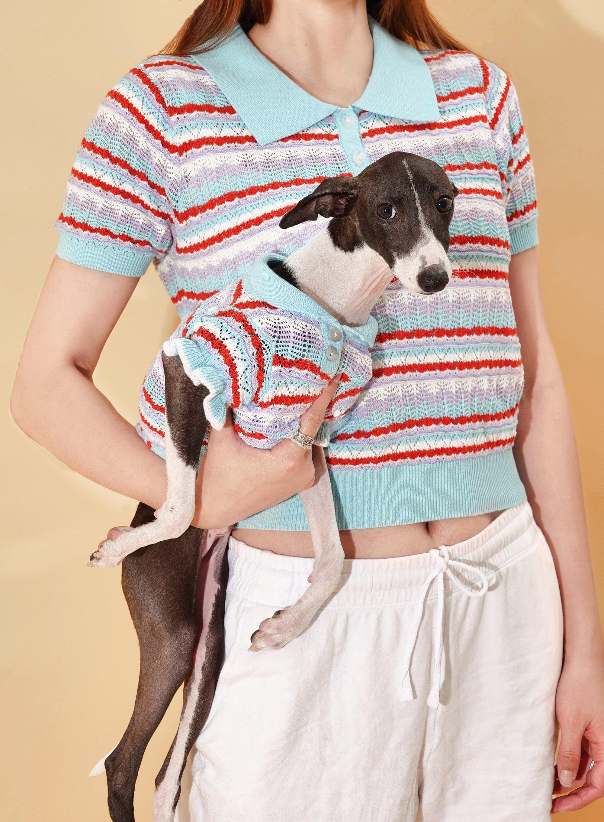 Pet & Me Spring Summer Blue Ocean Crochet Short Sleeve Polo Shirt