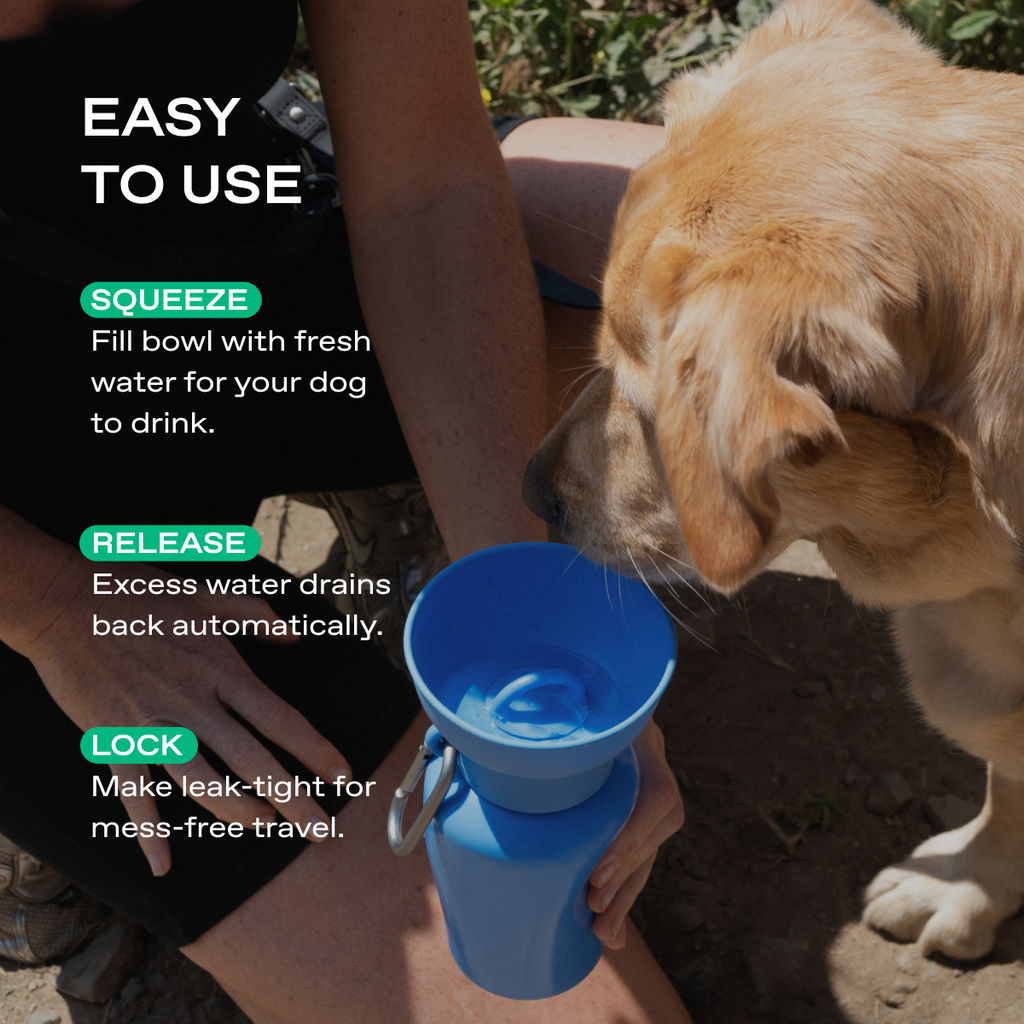 20oz Flip Dog Travel Water Bottle
