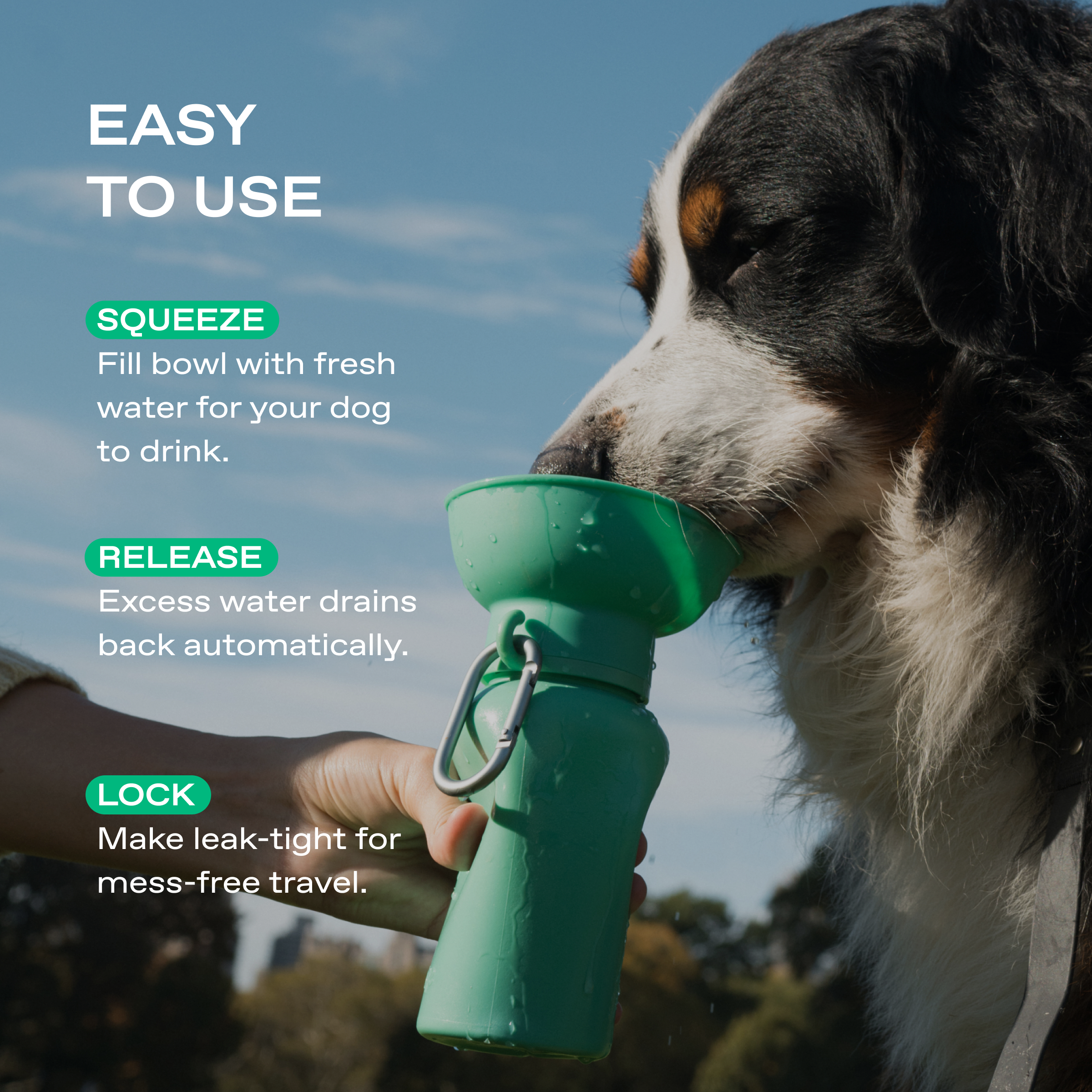 20oz Flip Dog Travel Water Bottle