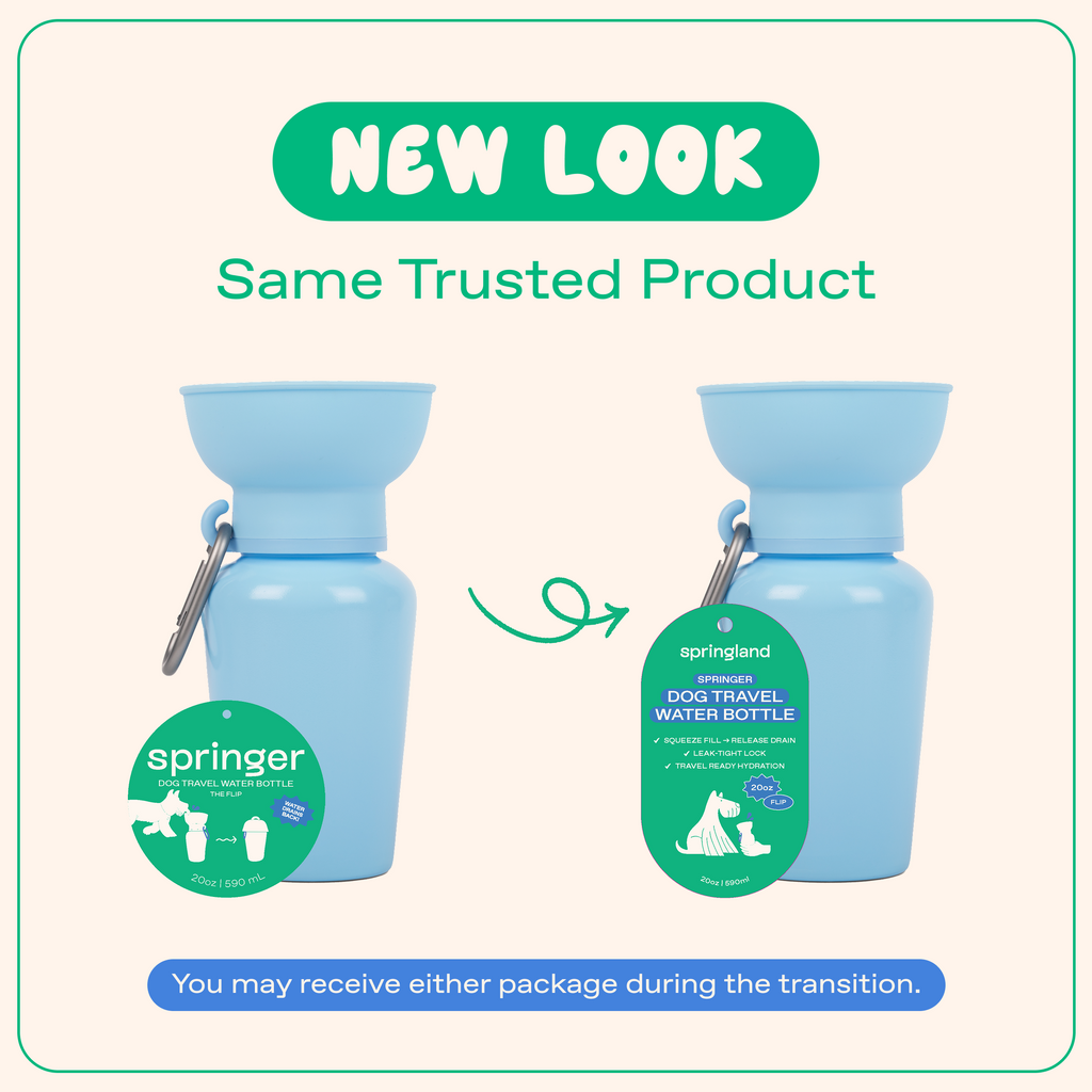 20oz Flip Dog Travel Water Bottle