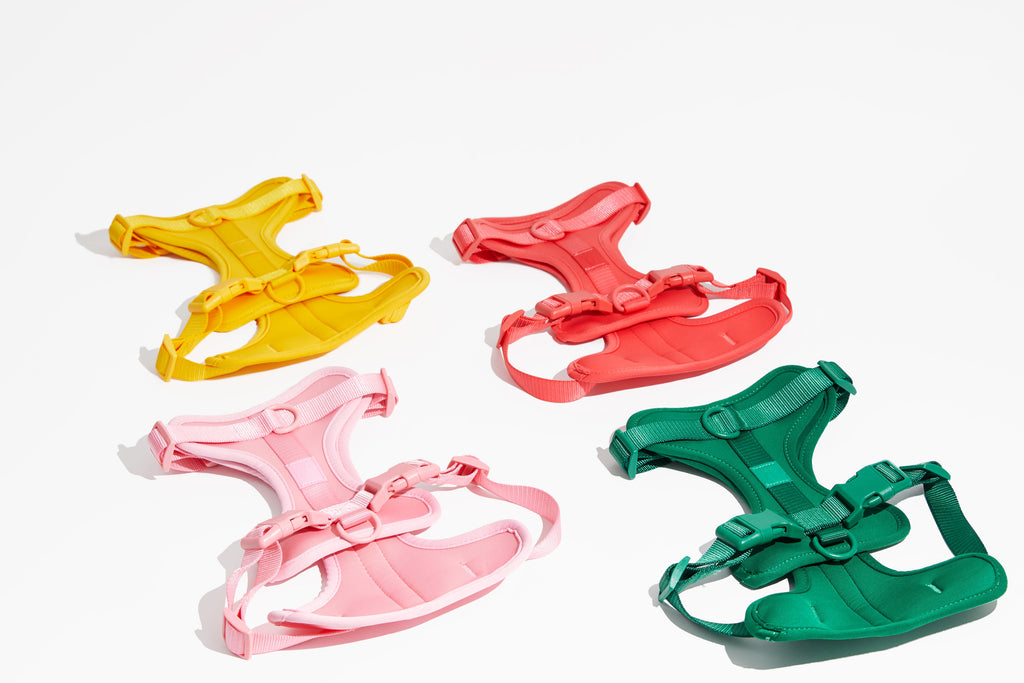 Luxe Harness - Hibiscus