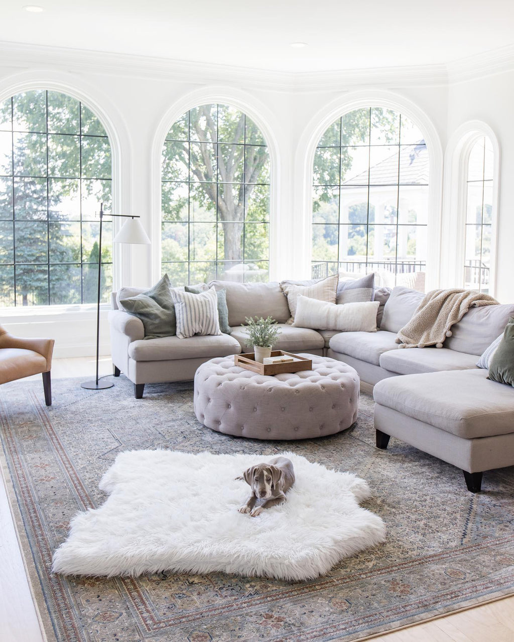 PupRug® Animal Print Memory Foam Dog Bed - Polar Bear Faux Hide