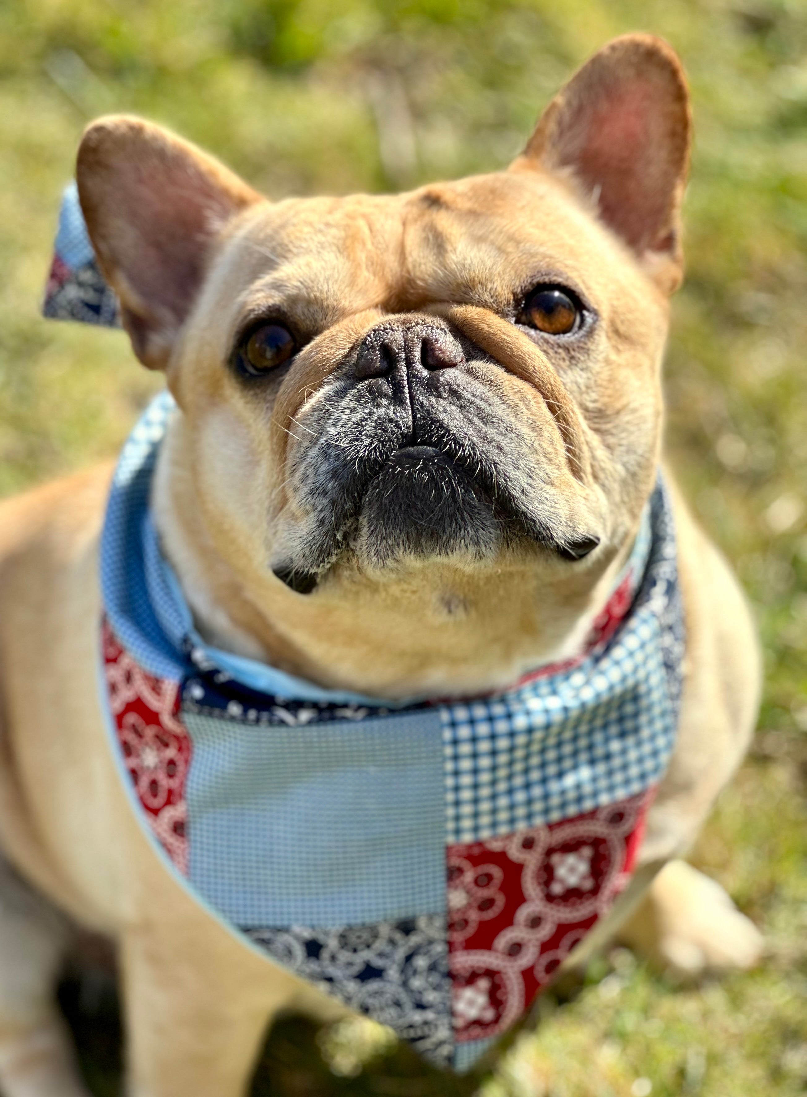 Patchwork Dog Bandana