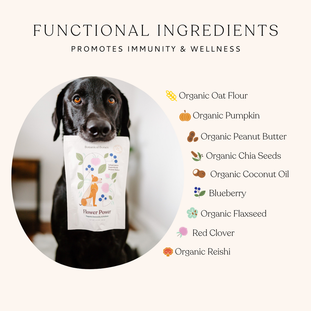 Flower Power | Immune Boosting Dog Treats for Longevity