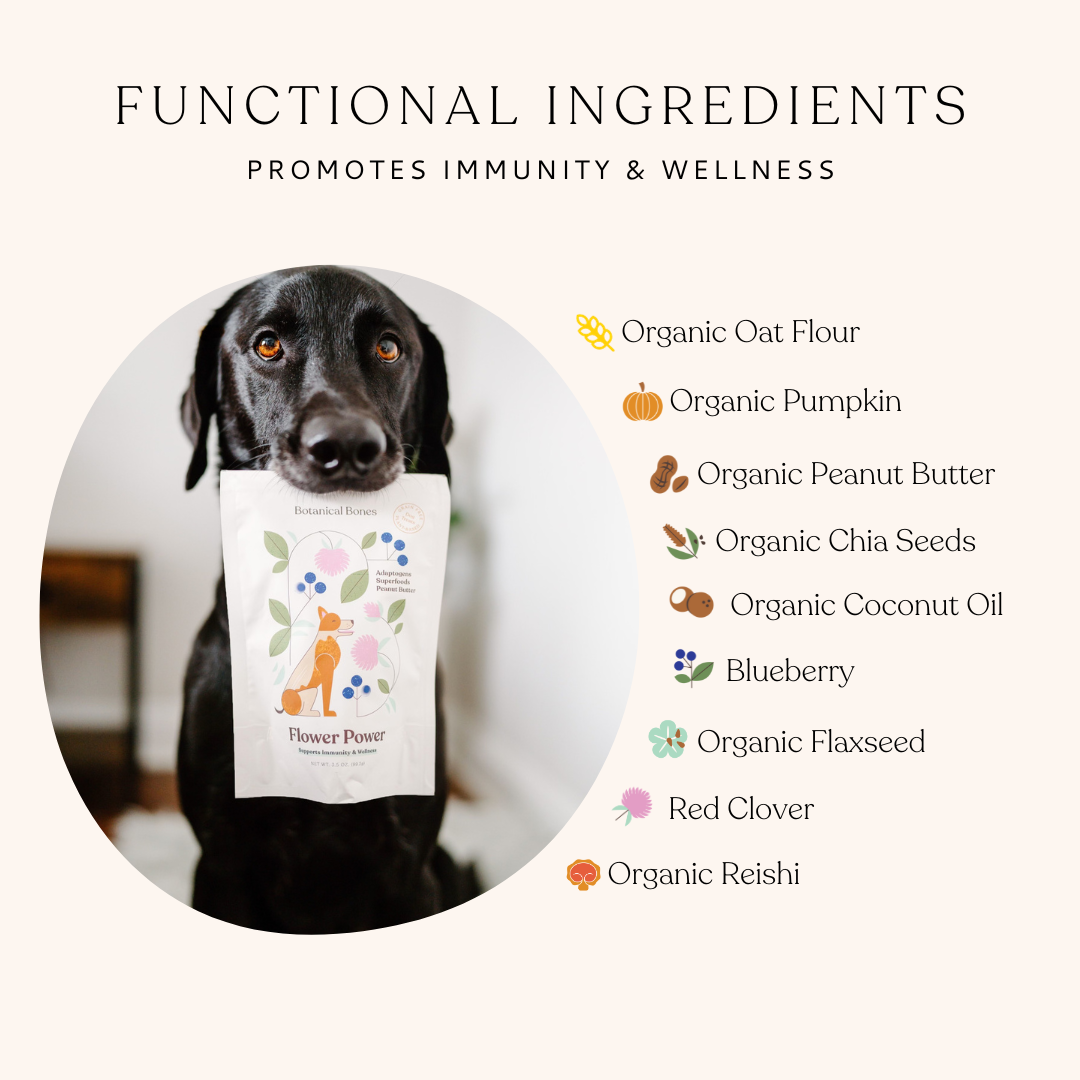 Flower Power | Immune Boosting Dog Treats for Longevity