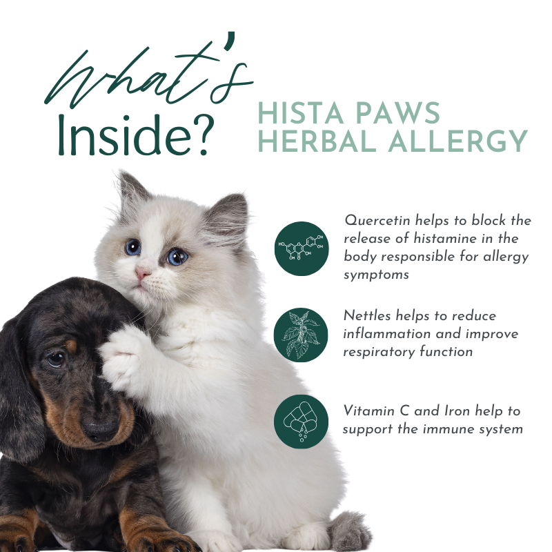 PRE-ORDER Hista Paws – with Quercetin for Dogs and Cats