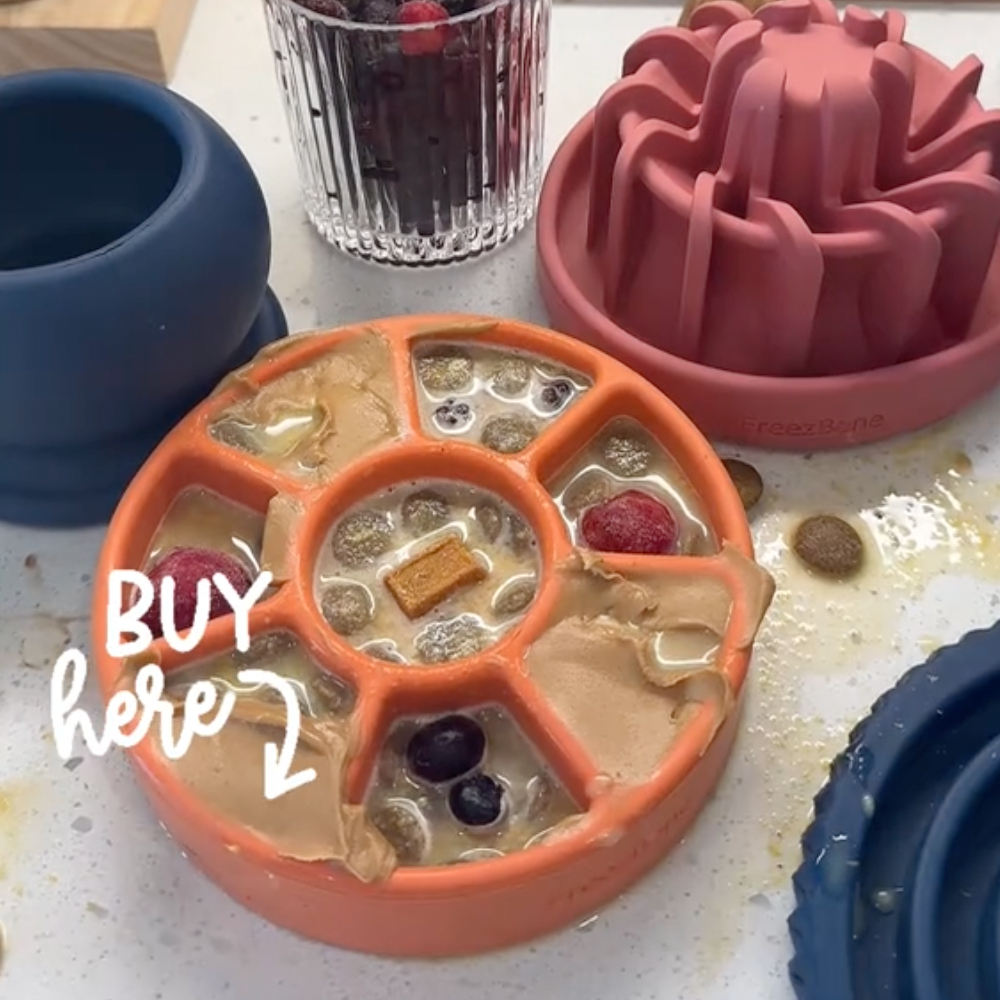 FreezWheel - Durable Interactive Chew