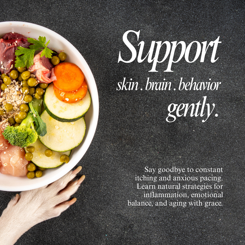 Whole Pet Wellness Academy: The Pet Parent Holistic Health Toolkit