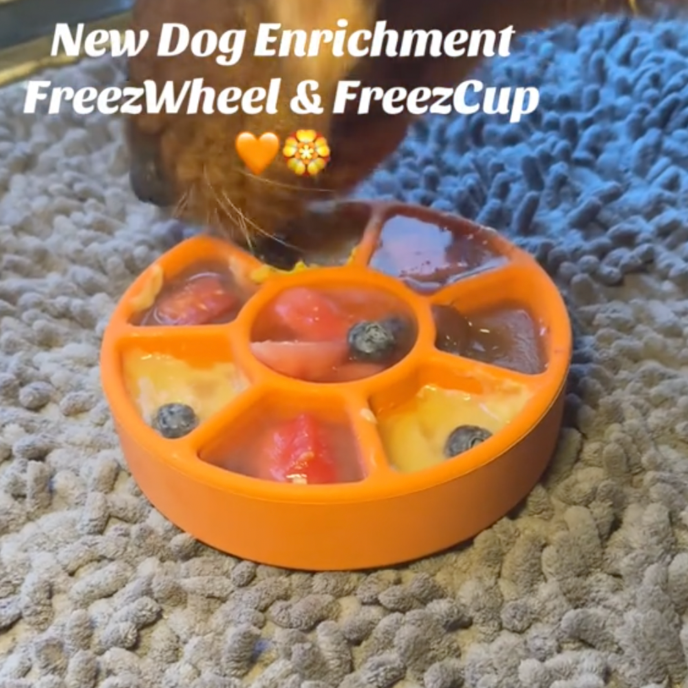 FreezWheel - Durable Interactive Chew