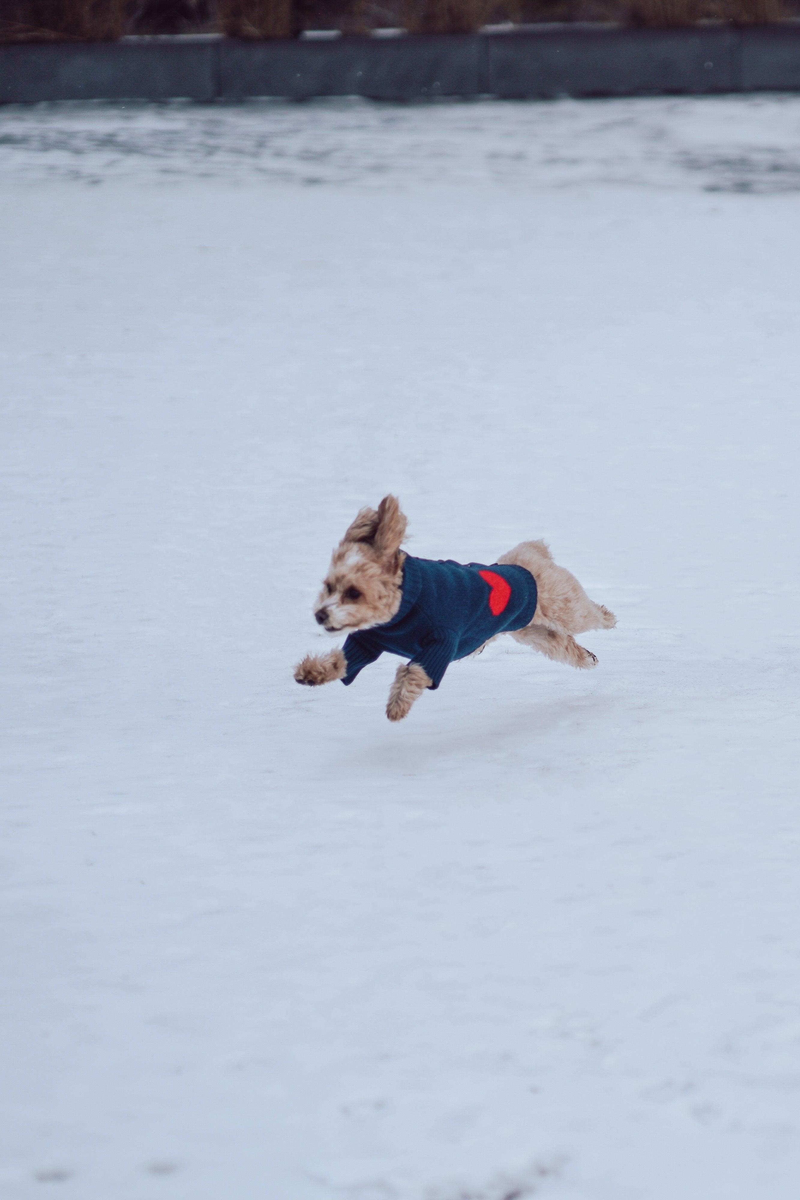 Heart to Heart Button-Up Cardigan Sweater
