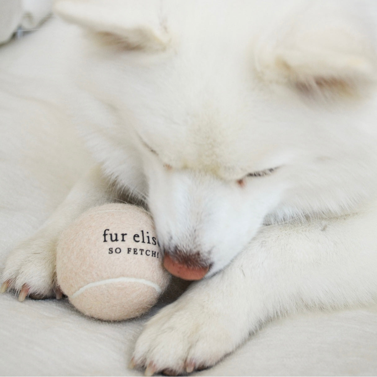 So Fetch! Tennis Ball - Latte