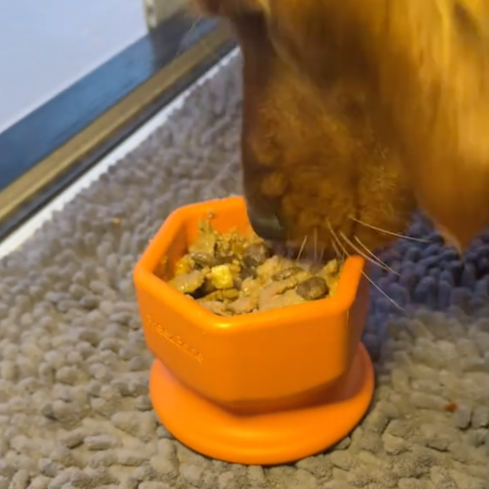 FreezCup - Long-Lasting Chew Fun