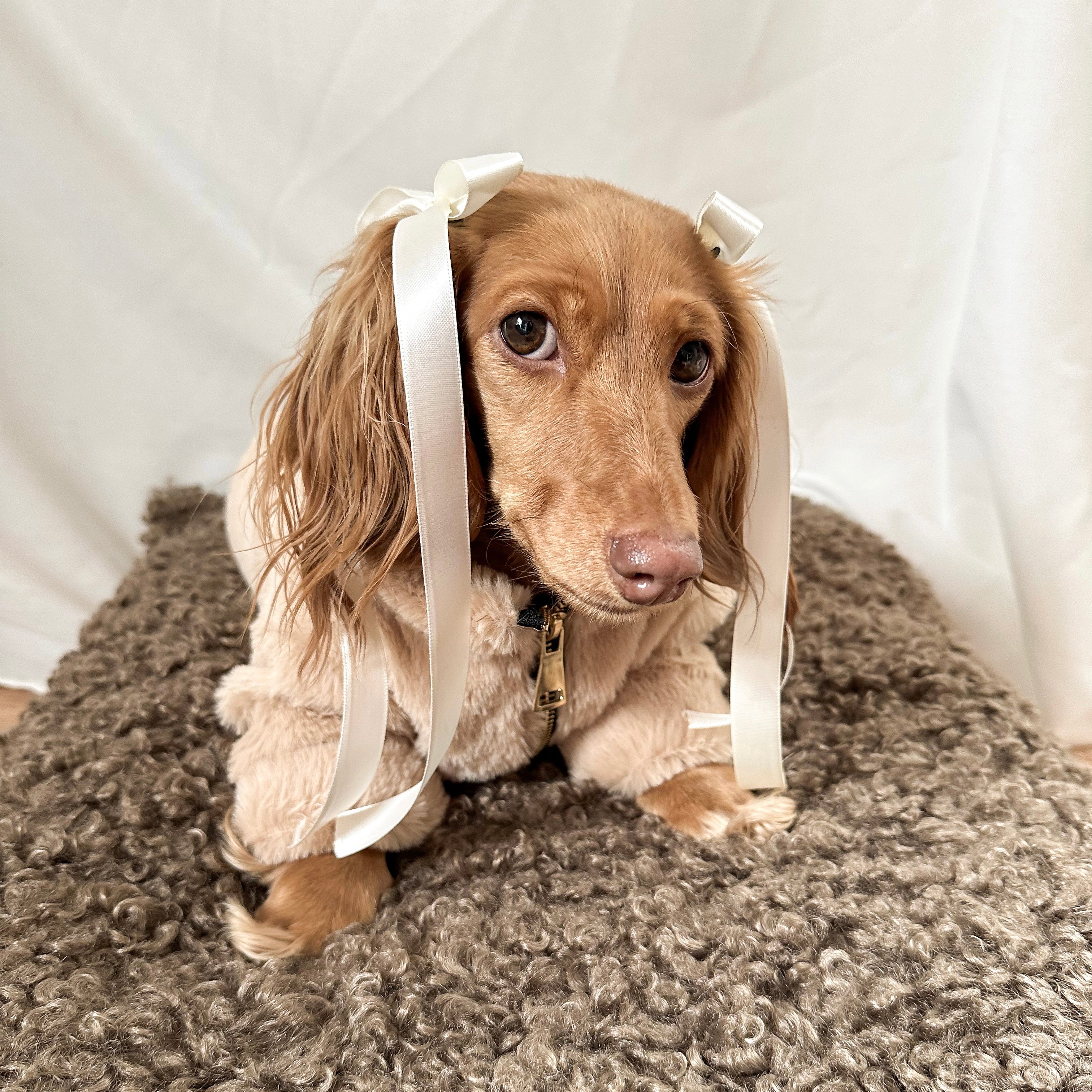 Furi Pet Coat - Sand