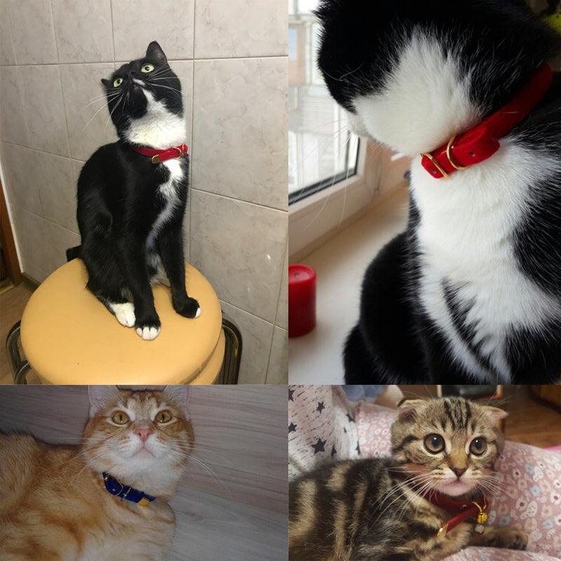 Luxurious Flocked Cat Collar: The Ultimate Pet Accessory For Style And Comfort