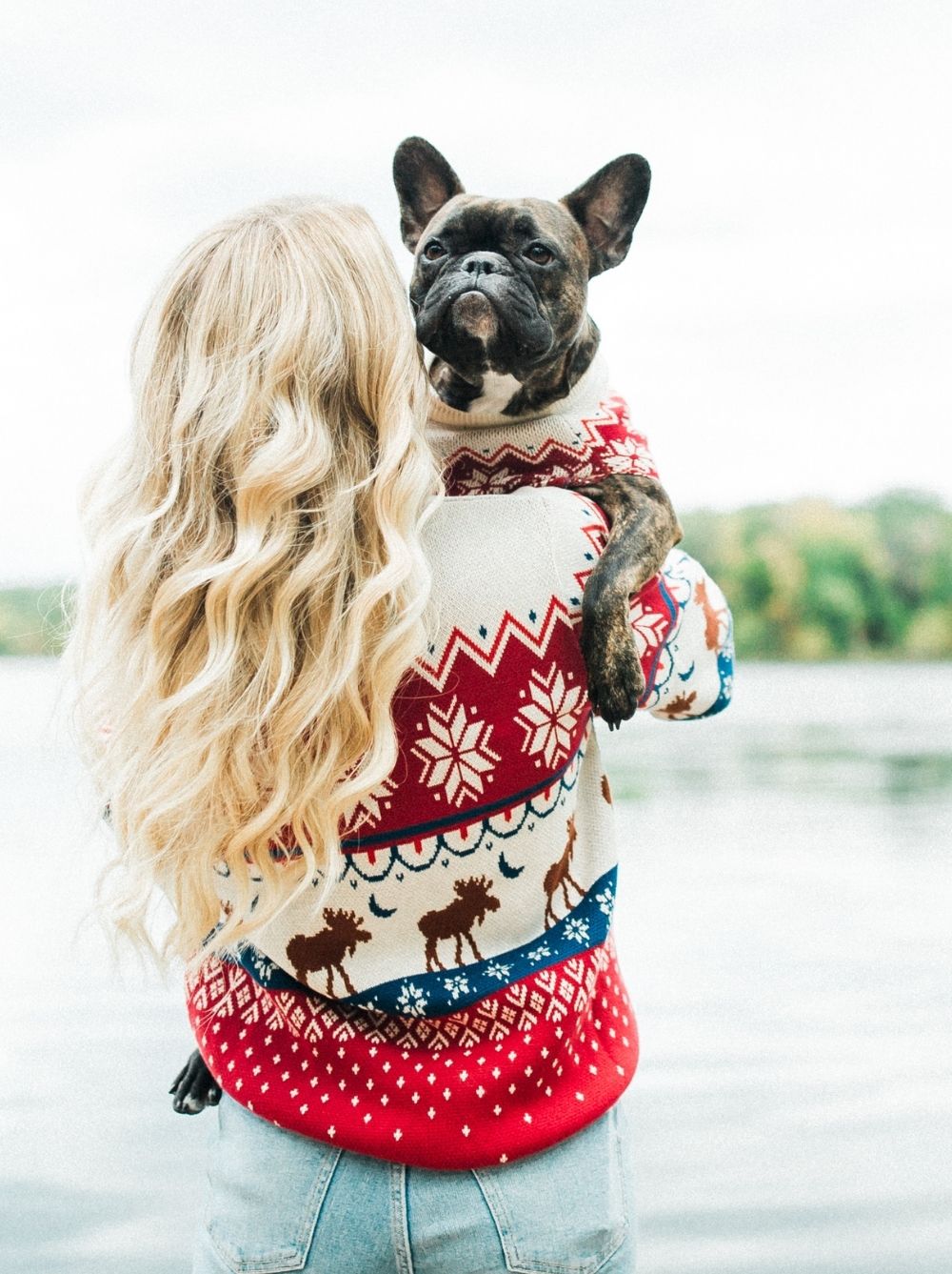 Aspen Sweater (Dog & Kids)