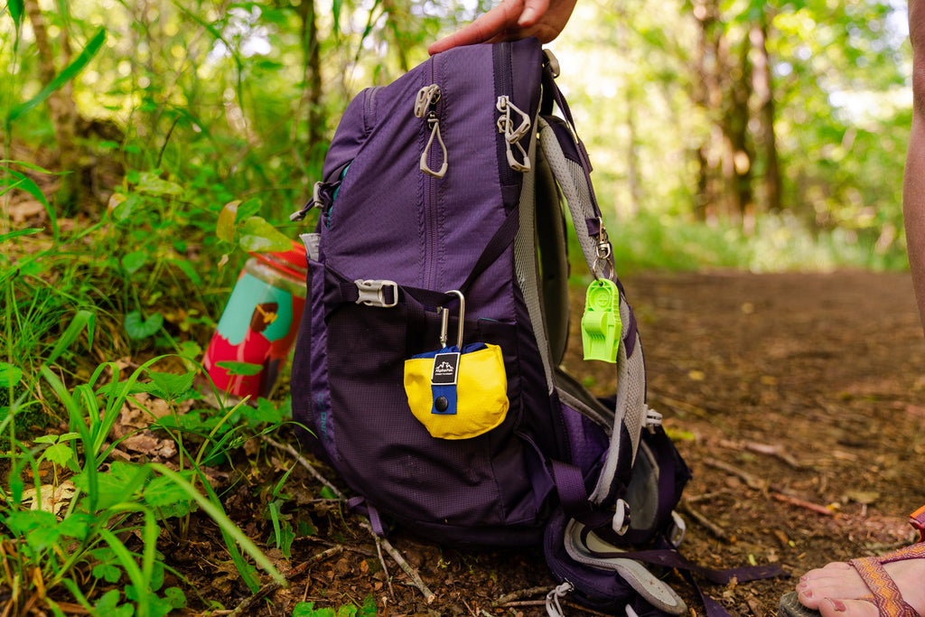 Gallatin Lightweight Collapsible Dog Bowl
