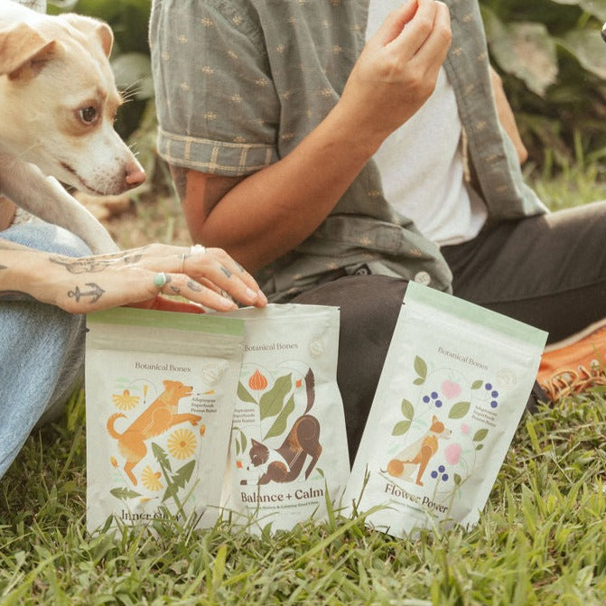 Wellness Bundle | Complete Dog Treat Collection | 3 Superfood Formulas