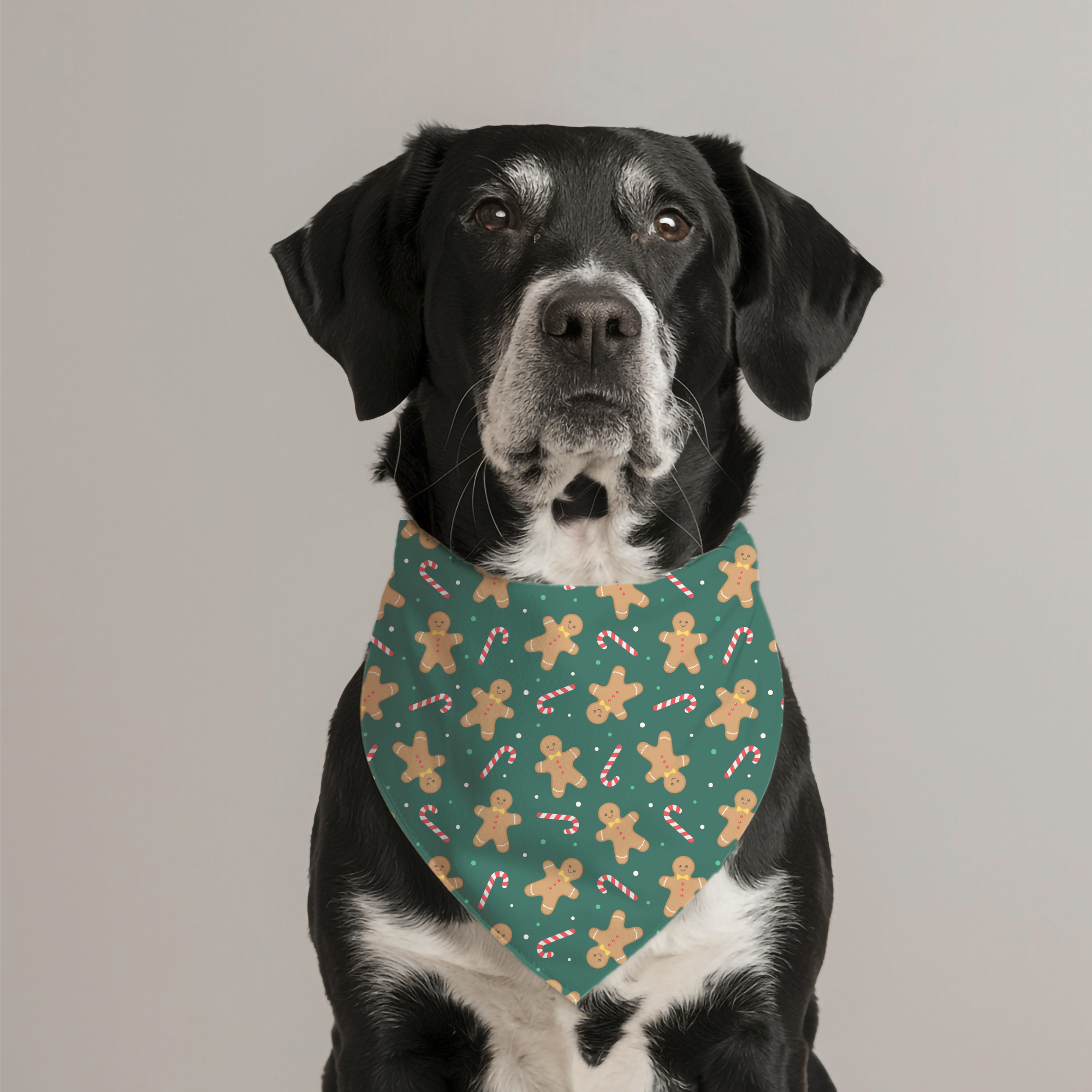 Gingerbread Man Dog Bandana