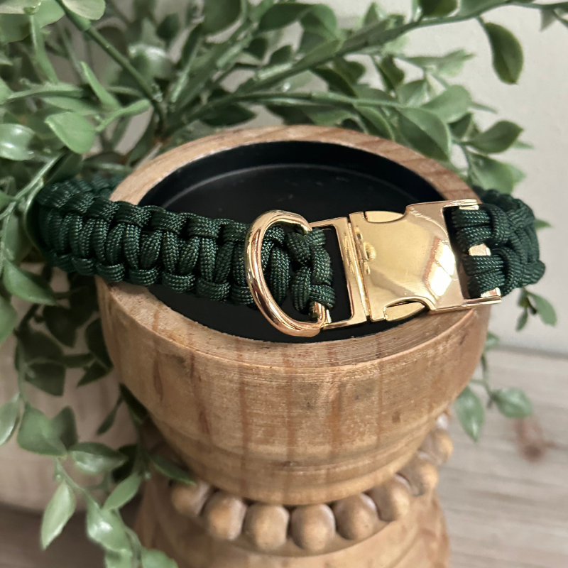 Cobra Braid in Emerald Green - Handmade Dog Collar