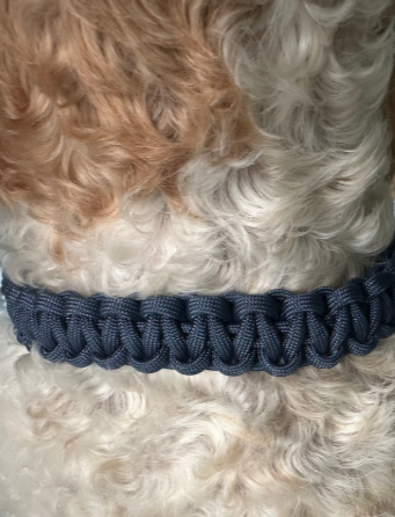 Cobra Braid in Navy Blue - Handmade Dog Collar