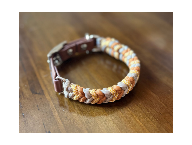 Coiled Charm Hand Braided Dog Collar in Mustard, Goldenrod, & Light Tan