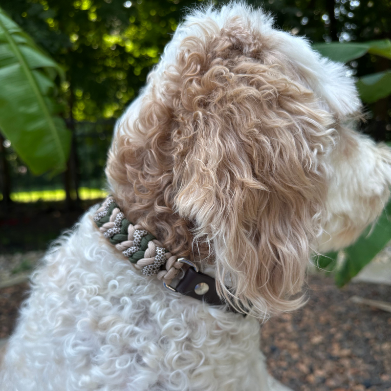 Coiled Charm Hand Braided Dog Collar in Olive, Light Tan, & Coyote Brown Diamonds