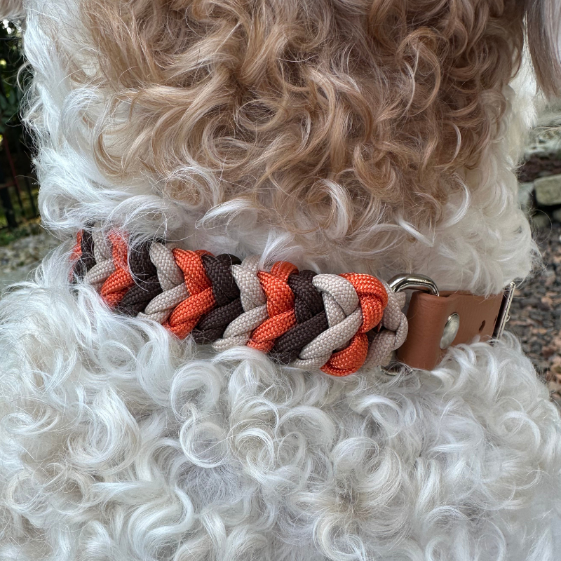 Coiled Charm Hand Braided Dog Collar in Burnt Orange, Walnut Brown, & Light Tan