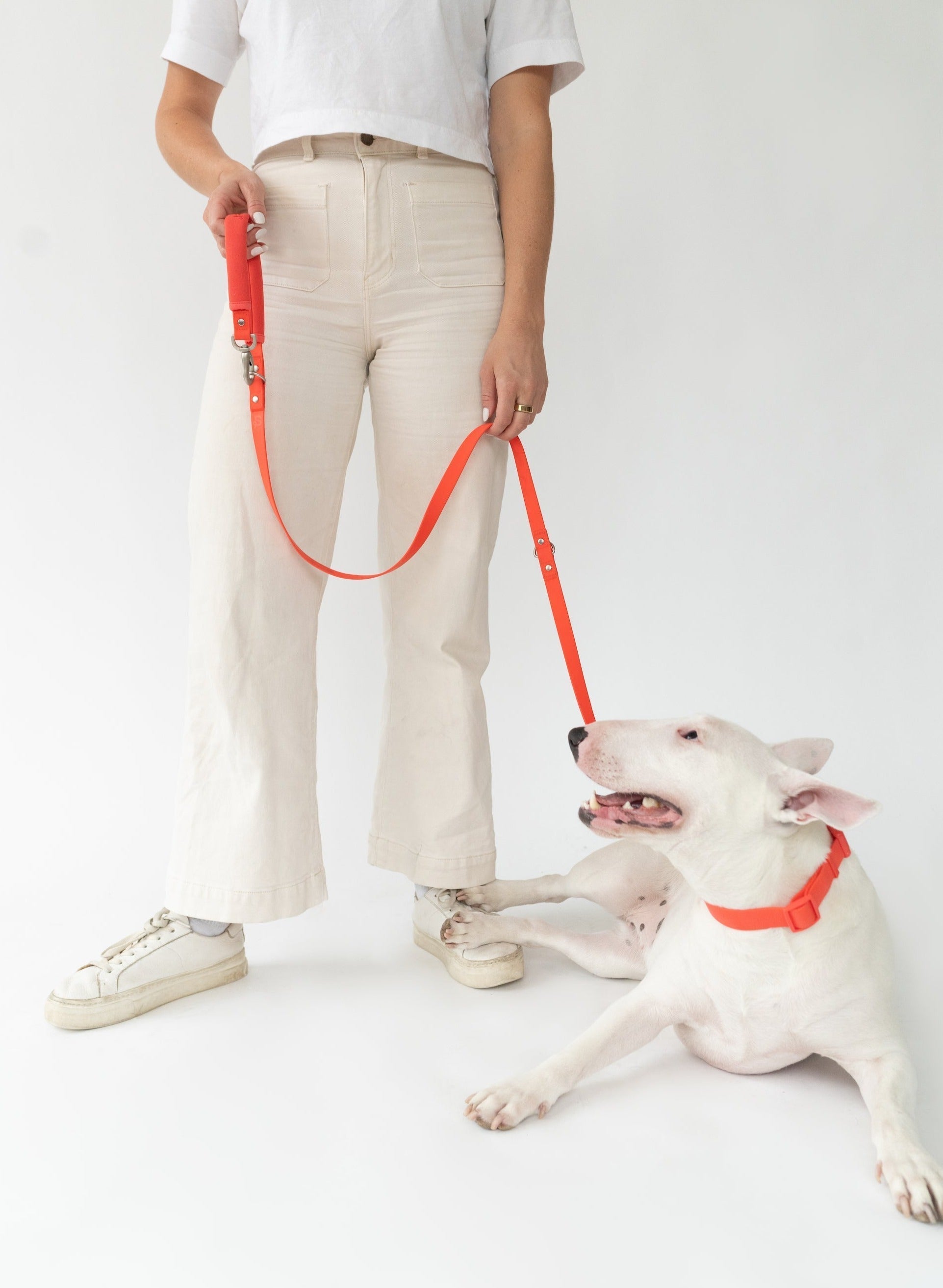 Original Dog Leash with Neoprene Handle