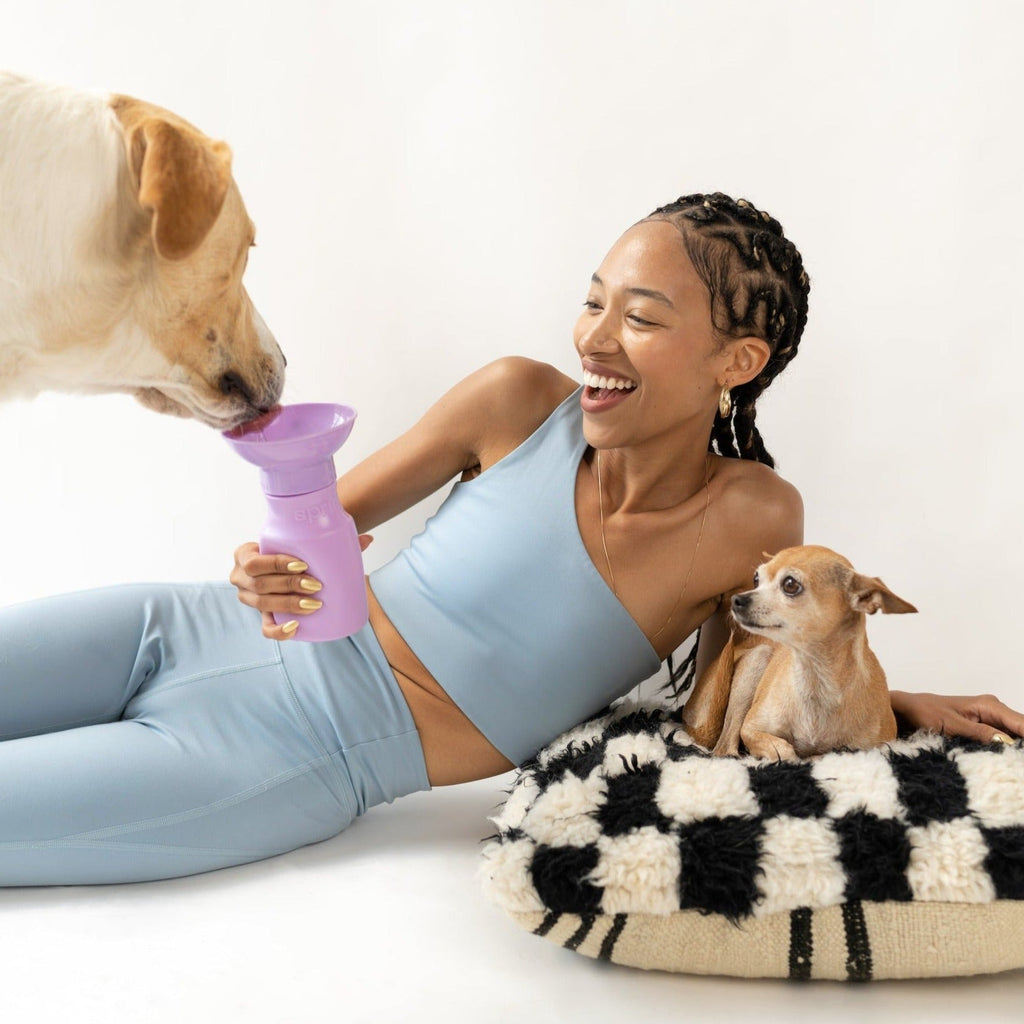 15oz Original Dog Travel Water Bottle