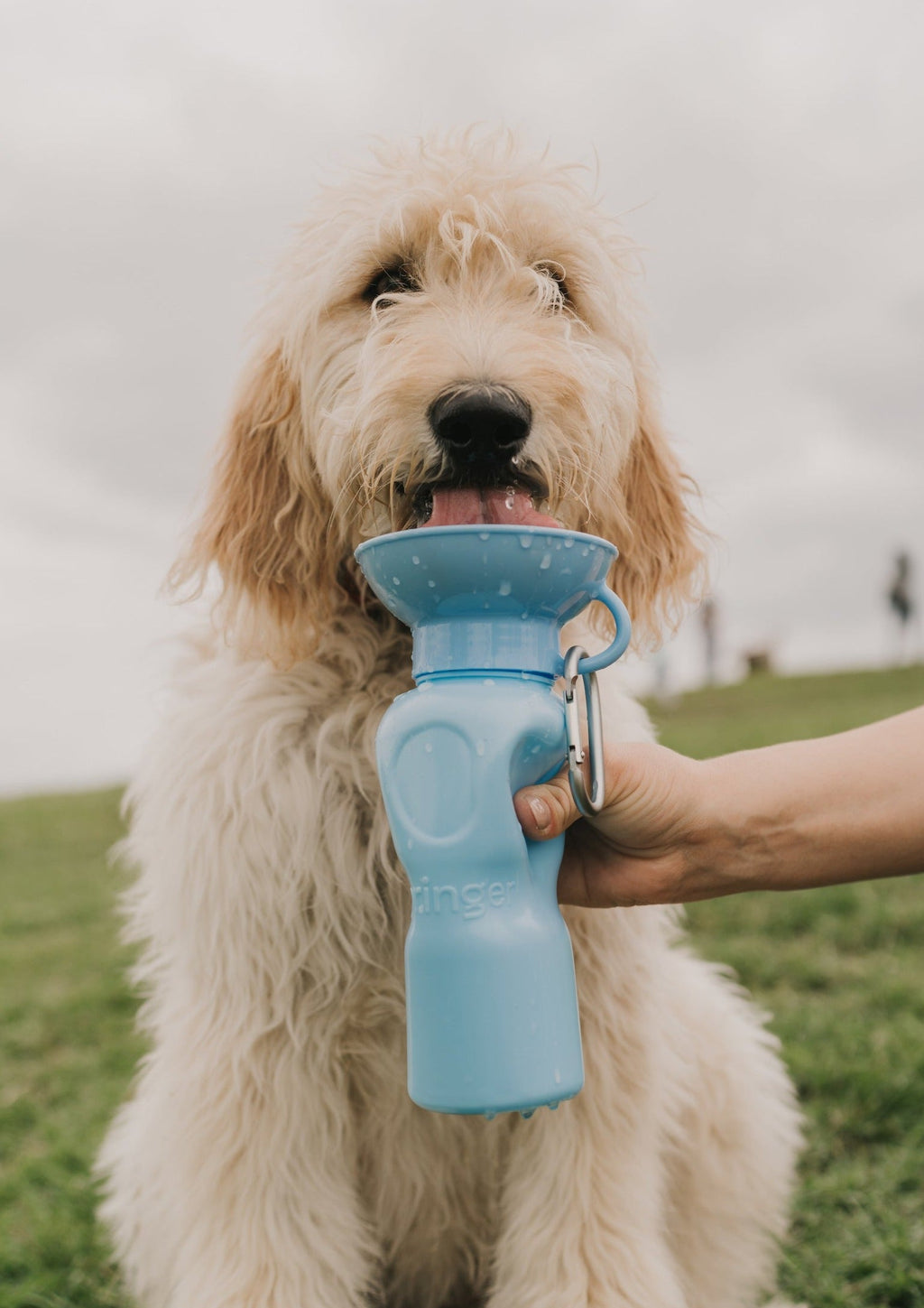 22oz Original Dog Travel Water Bottle
