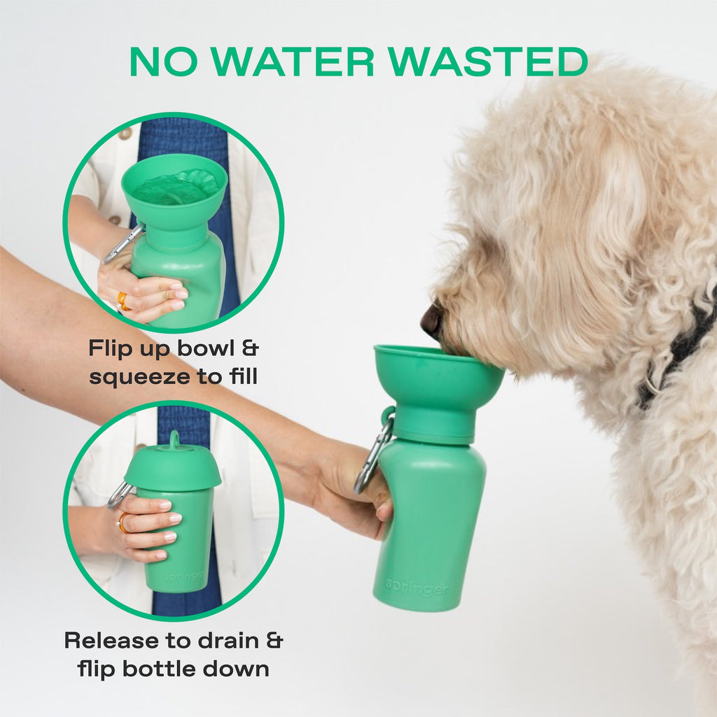 20oz Flip Dog Travel Water Bottle