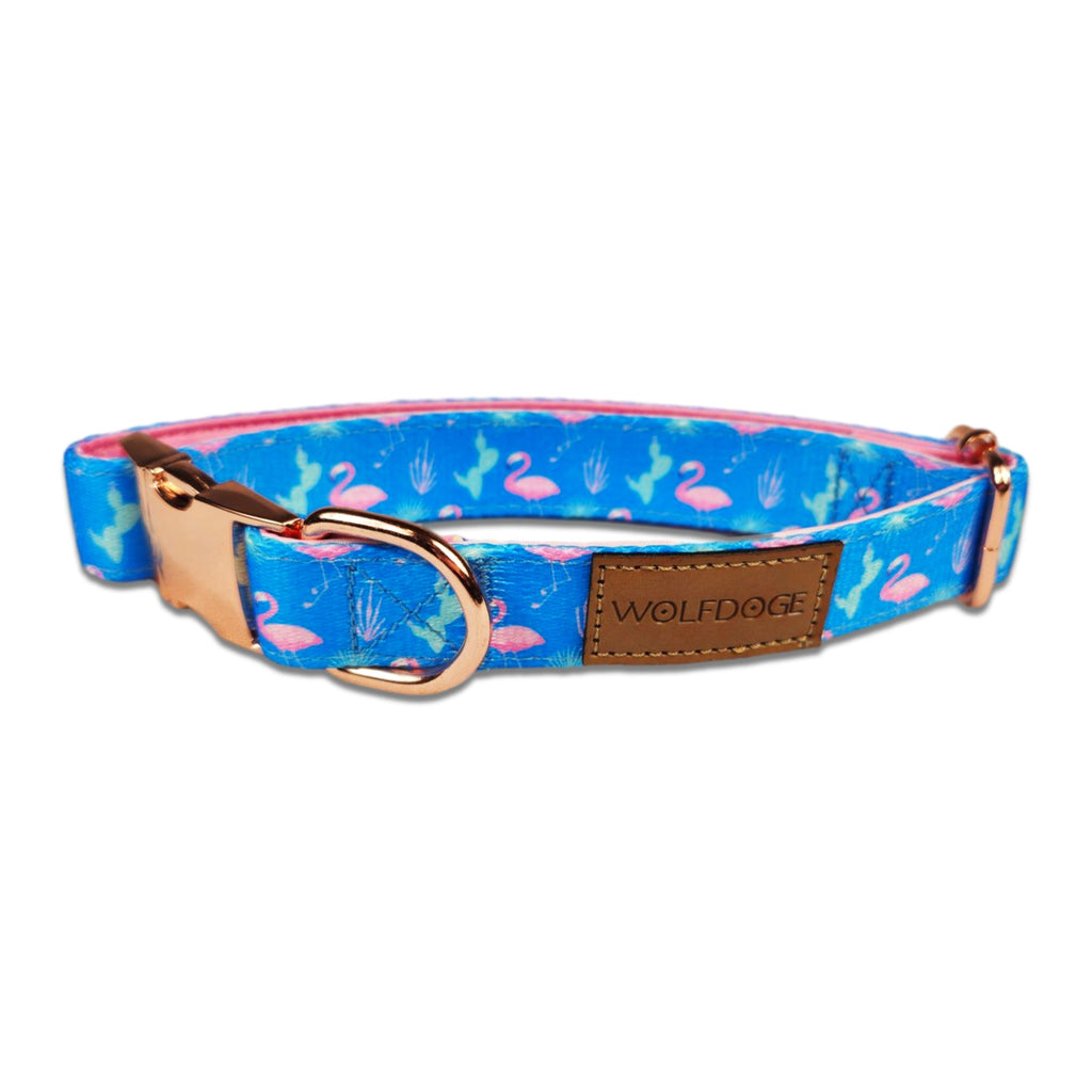 Flamingo Fiesta Collar