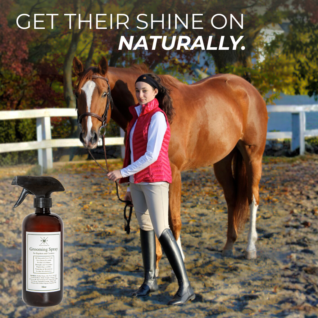 Grooming Spray for Dogs & Horses - 16oz