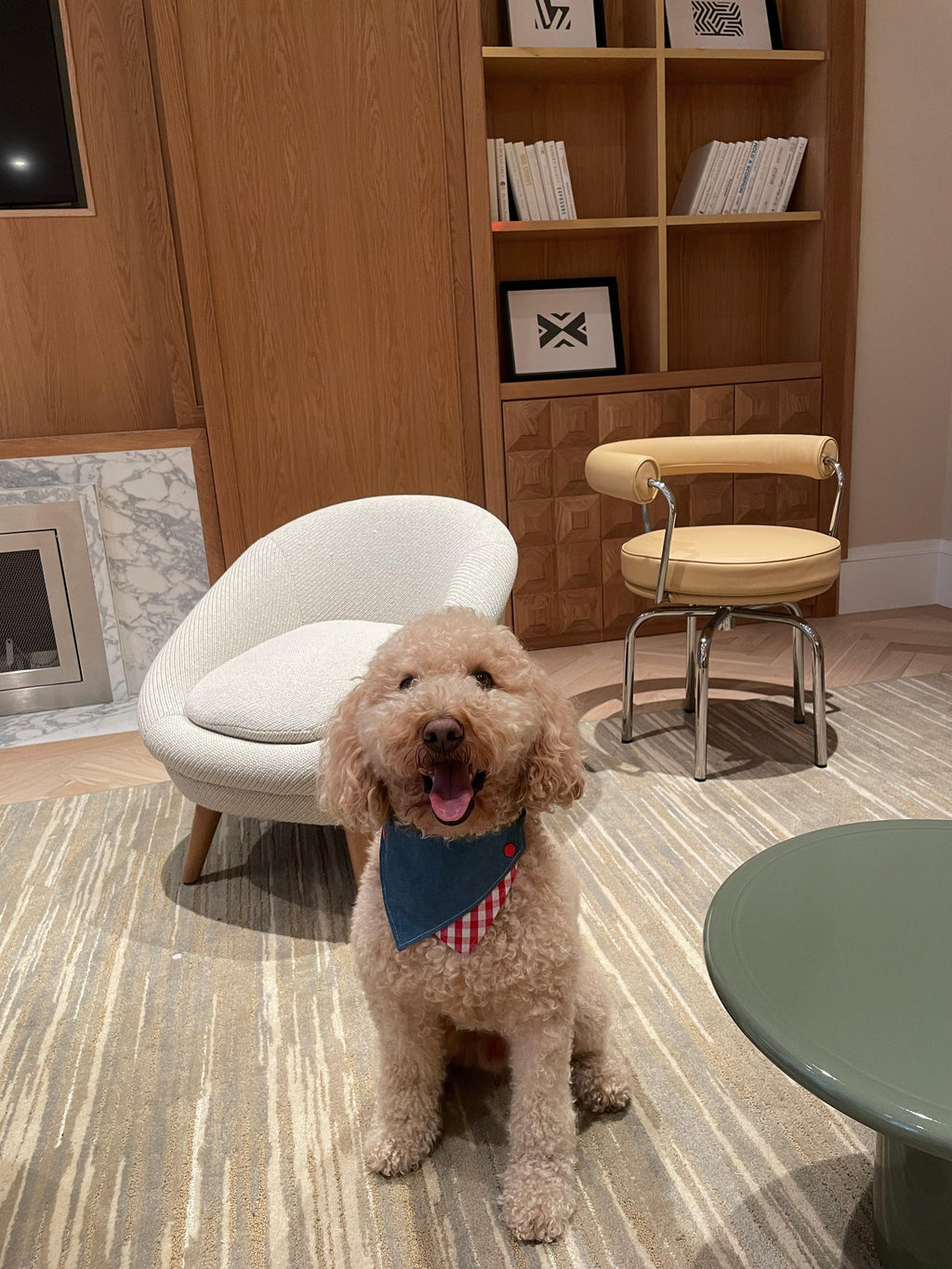 Park Day Denim Gingham Print Handmade Bandana