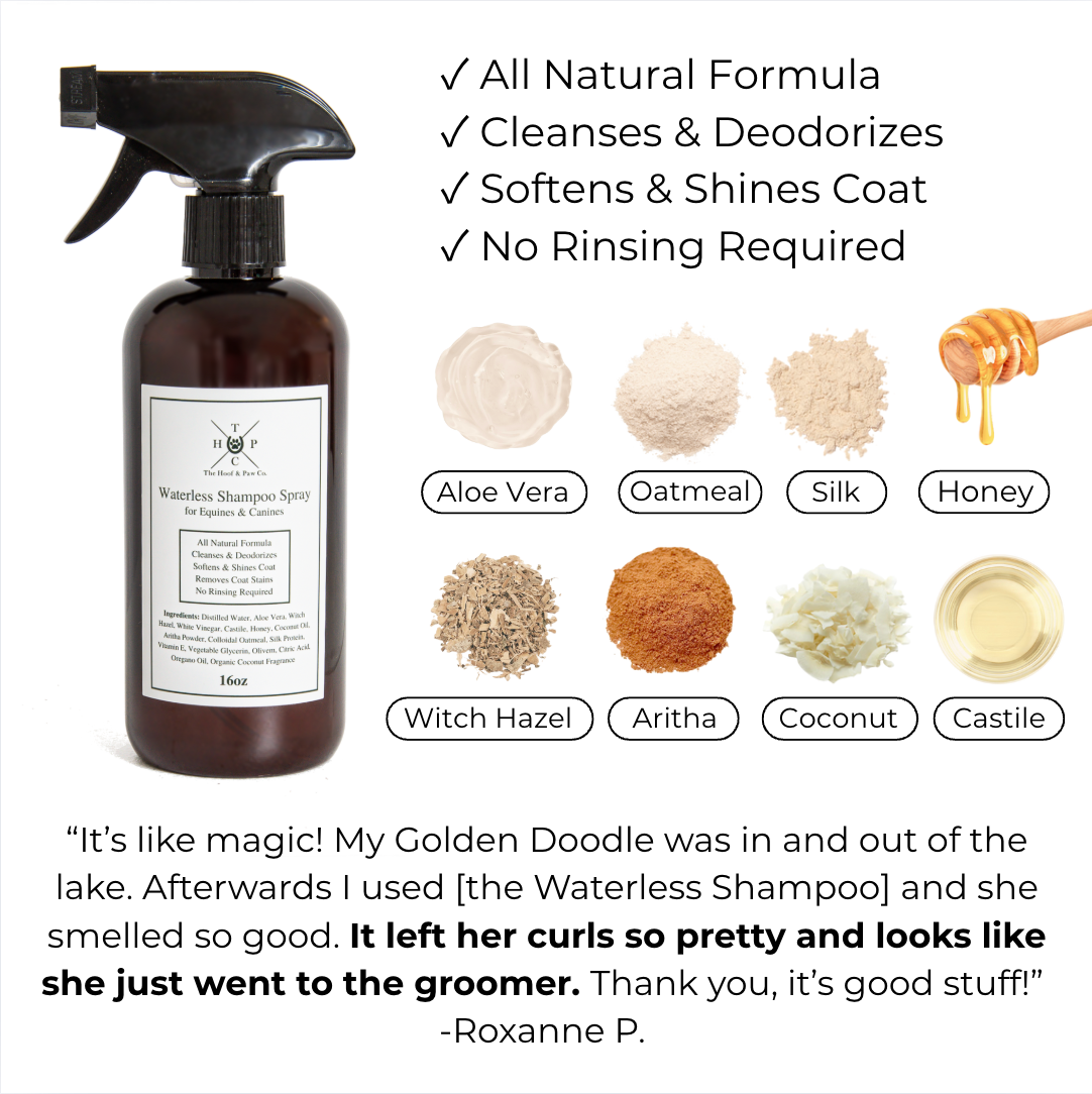 Waterless Shampoo Spray for Dogs & Horses - 16oz