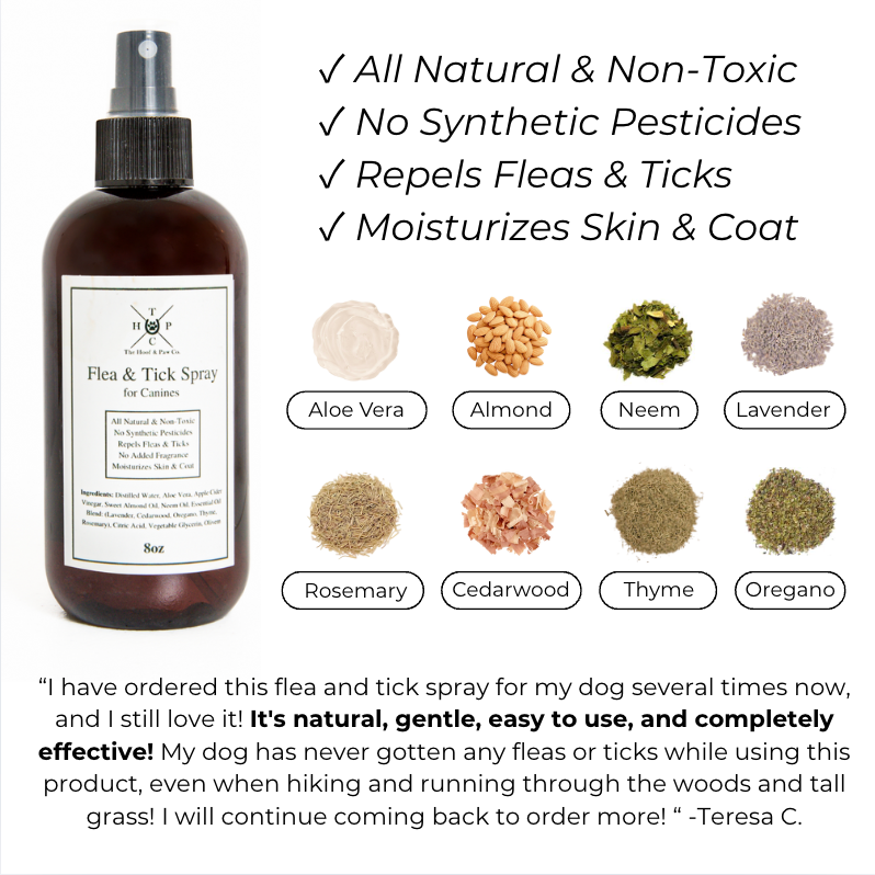 Flea & Tick Spray for Dogs