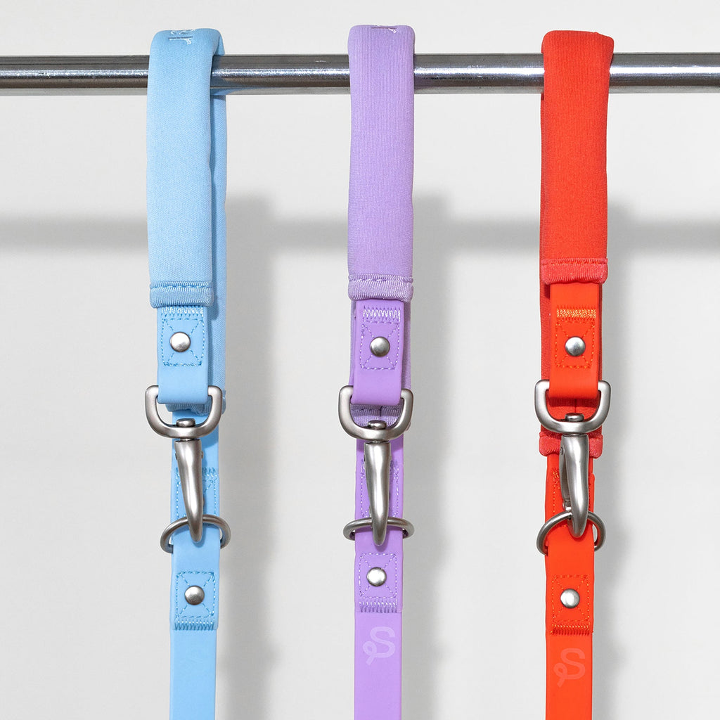 Original Dog Leash with Neoprene Handle