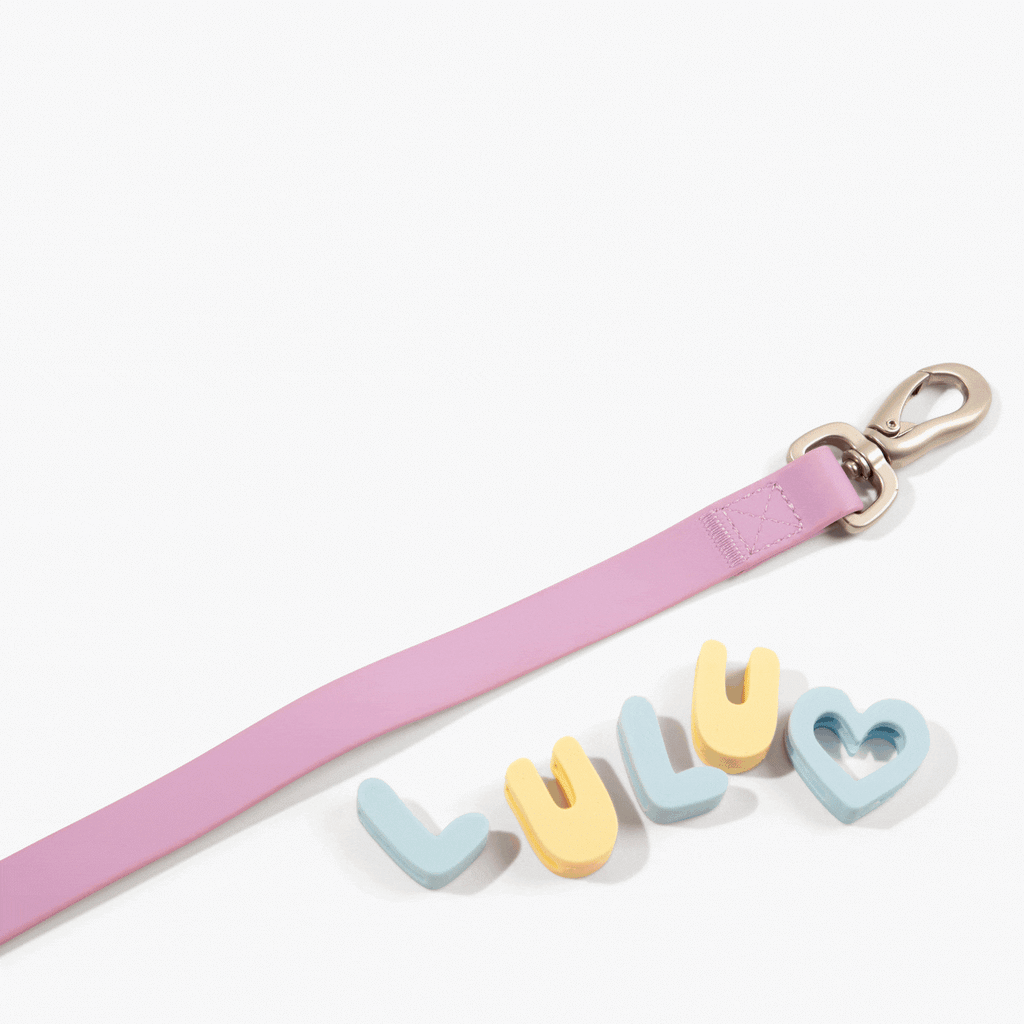 Original Dog Leash with Neoprene Handle