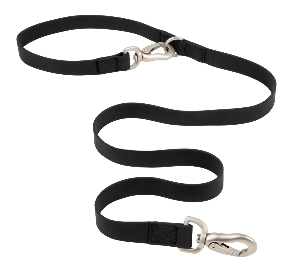 Original City Dog Leash