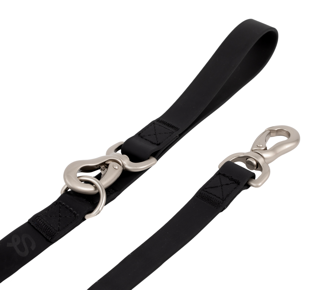 Original City Dog Leash