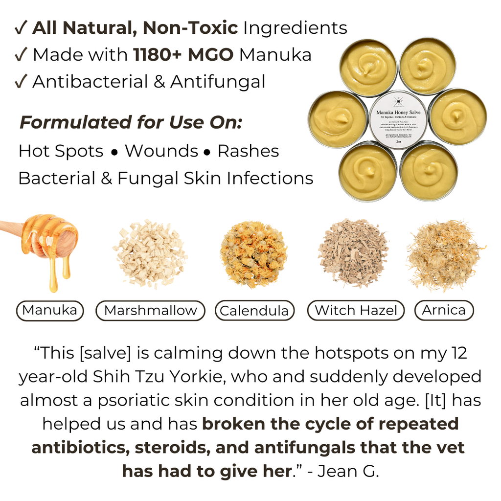 Manuka Honey Salve for Dogs, Horses & Humans