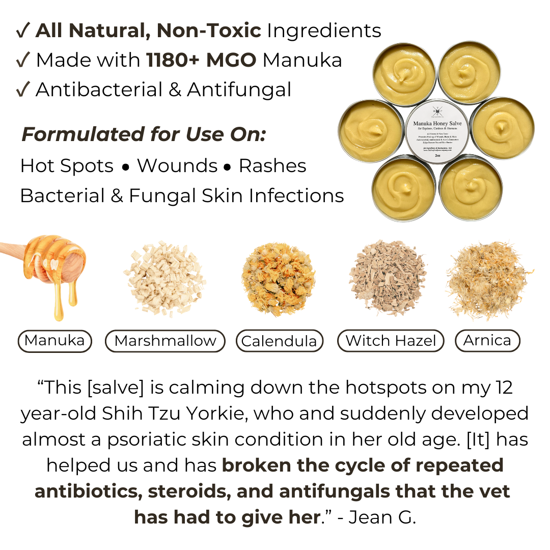 Manuka Honey Salve for Dogs, Horses & Humans
