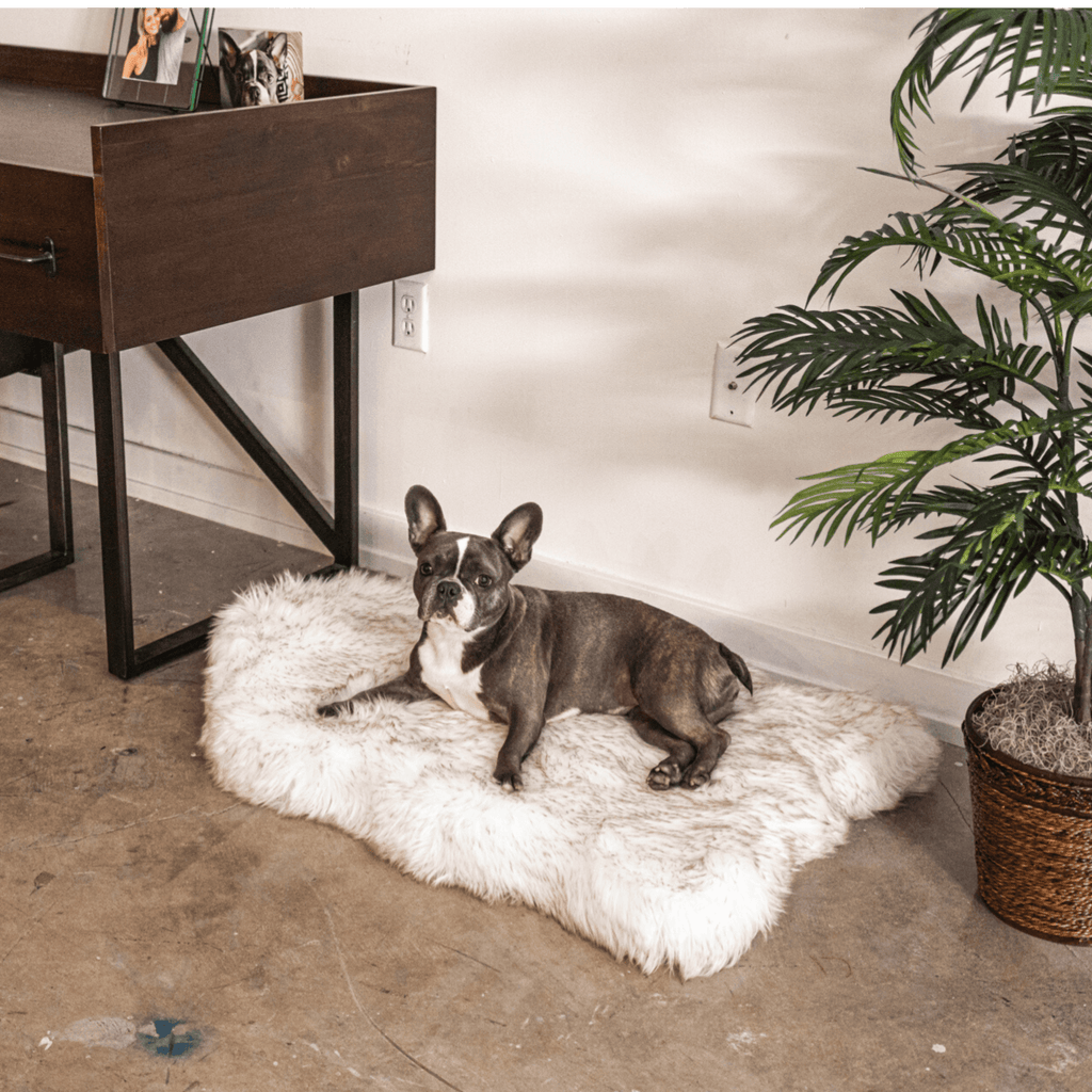PupRug by Paw.com® Faux Fur Orthopedic Dog Bed - Curve White with Brown Accents