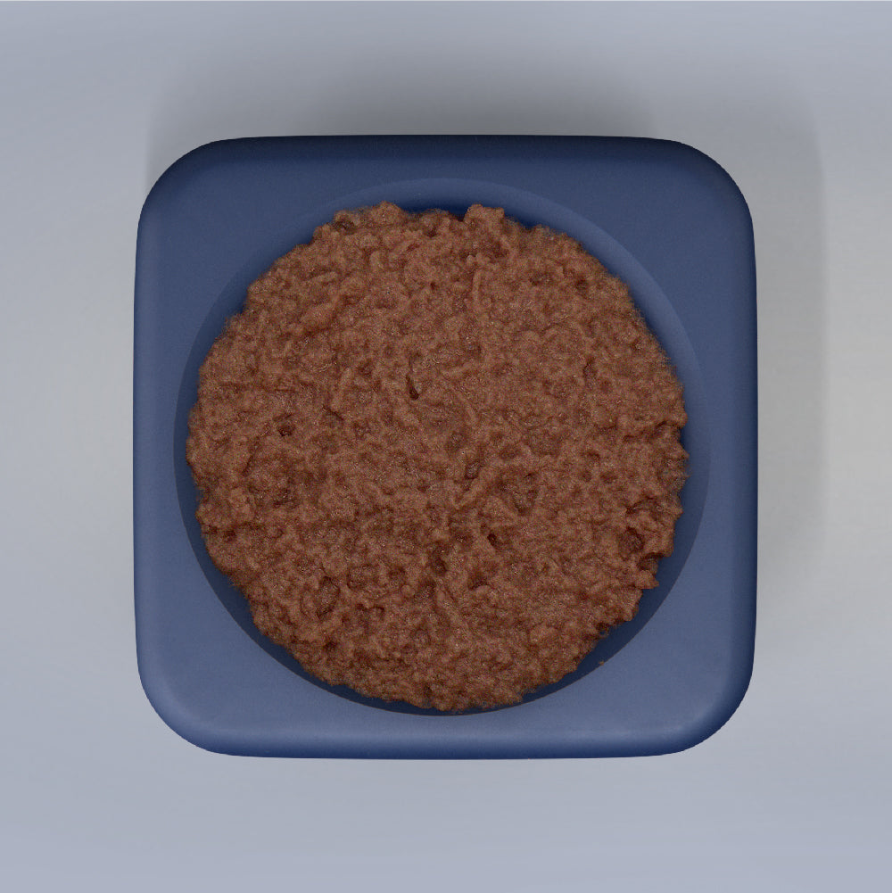 Freezbox - Super Tough Treat Toy